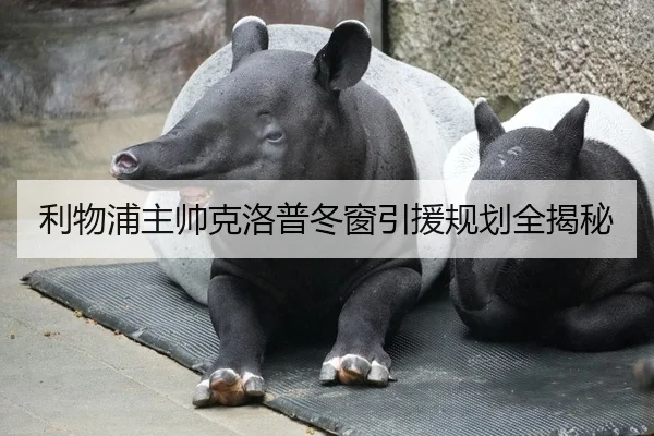 利物浦主帅克洛普冬窗引援规划全揭秘